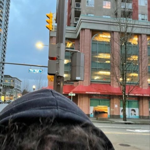 Meet your Posher, Anthony - Picture 1 of 1